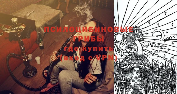стафф Козловка